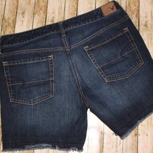 American Eagle Size 4 Denim Shorts
